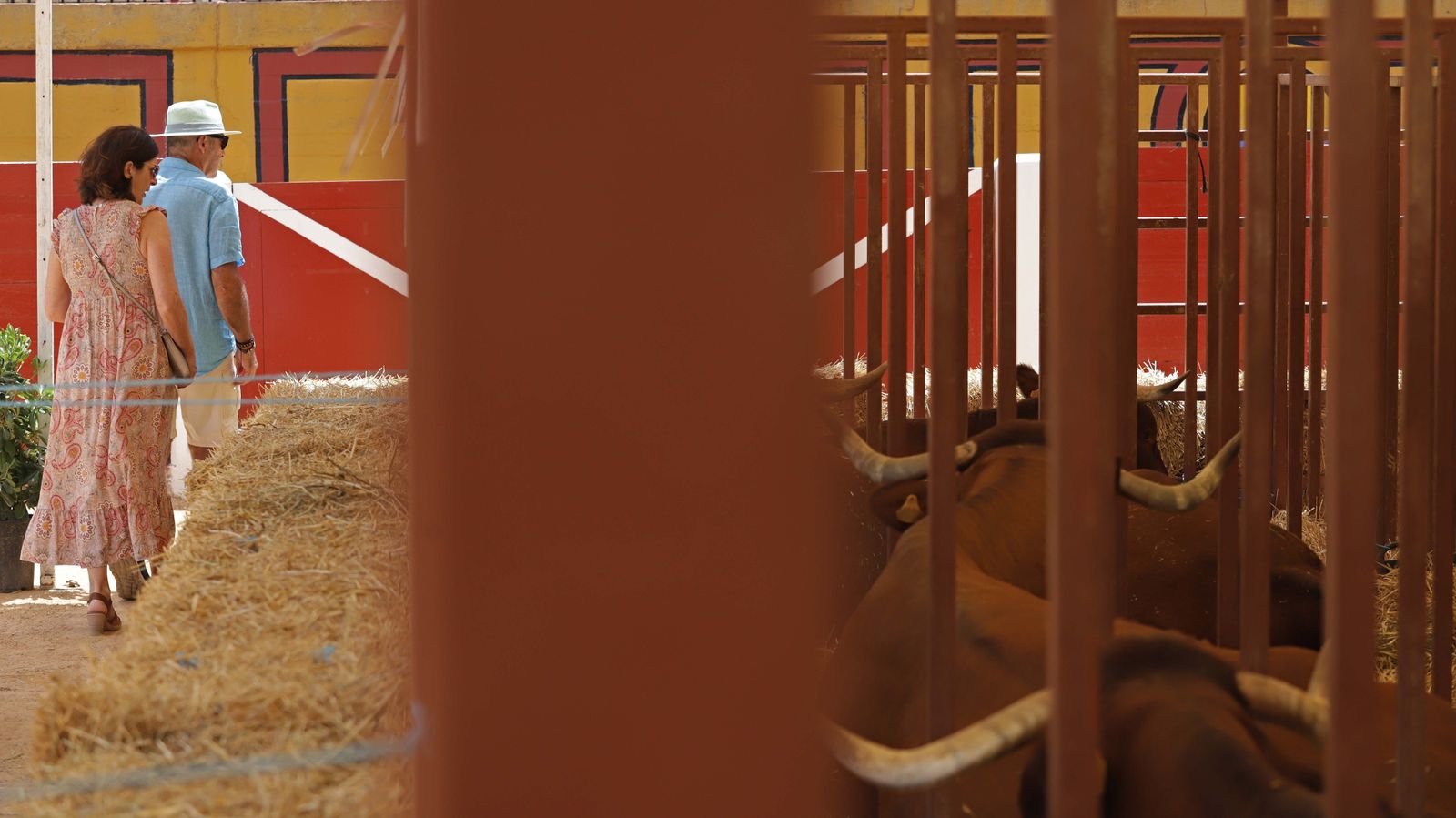 Fotos de la inauguración de la 171 Feria del Ganado de Algeciras