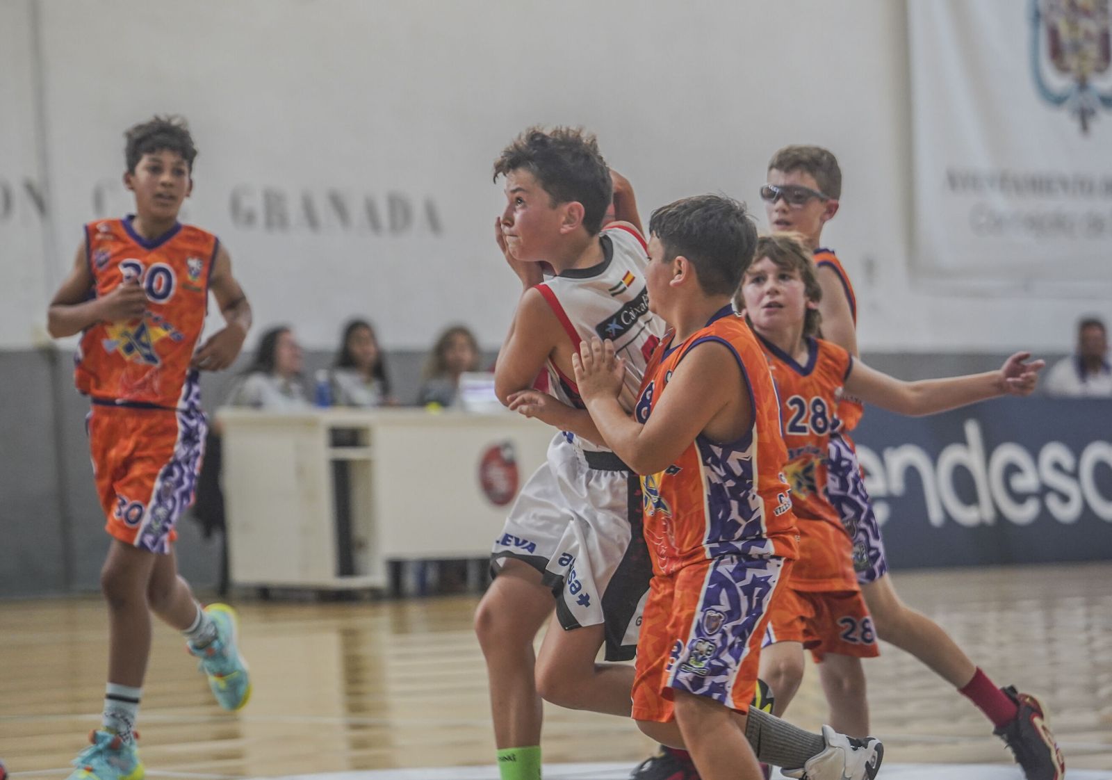 El Campeonato de España de minibasket en imágenes