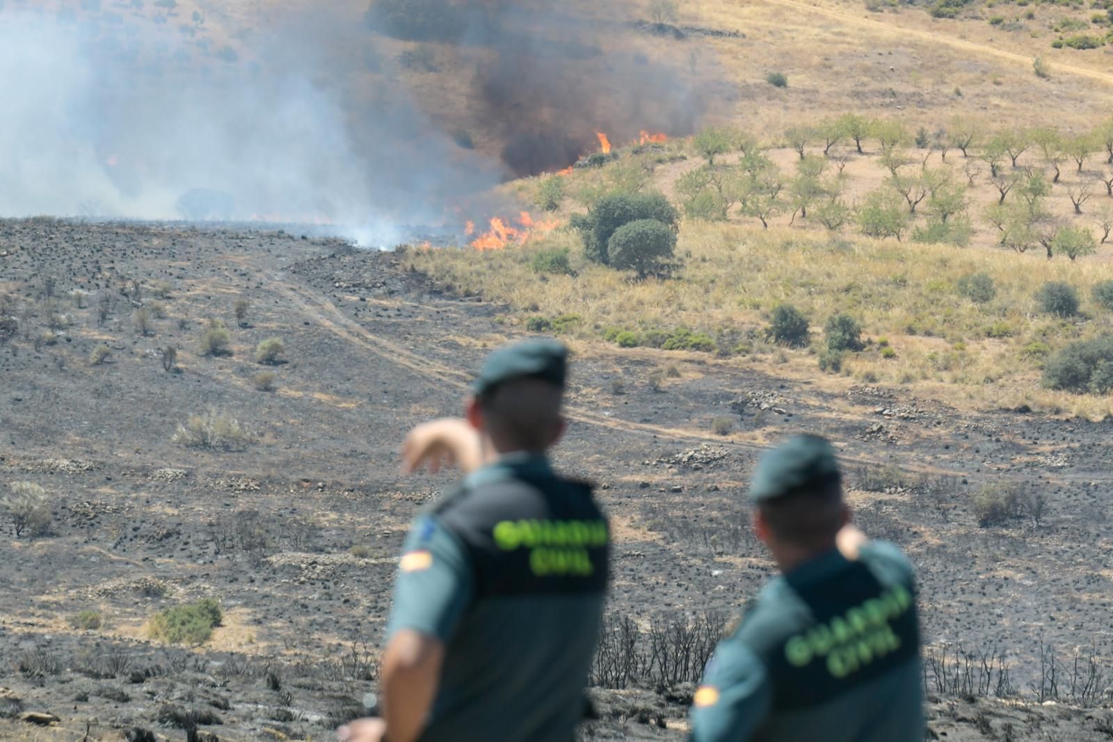 El incendio en el parque eólico de Padul, en fotos