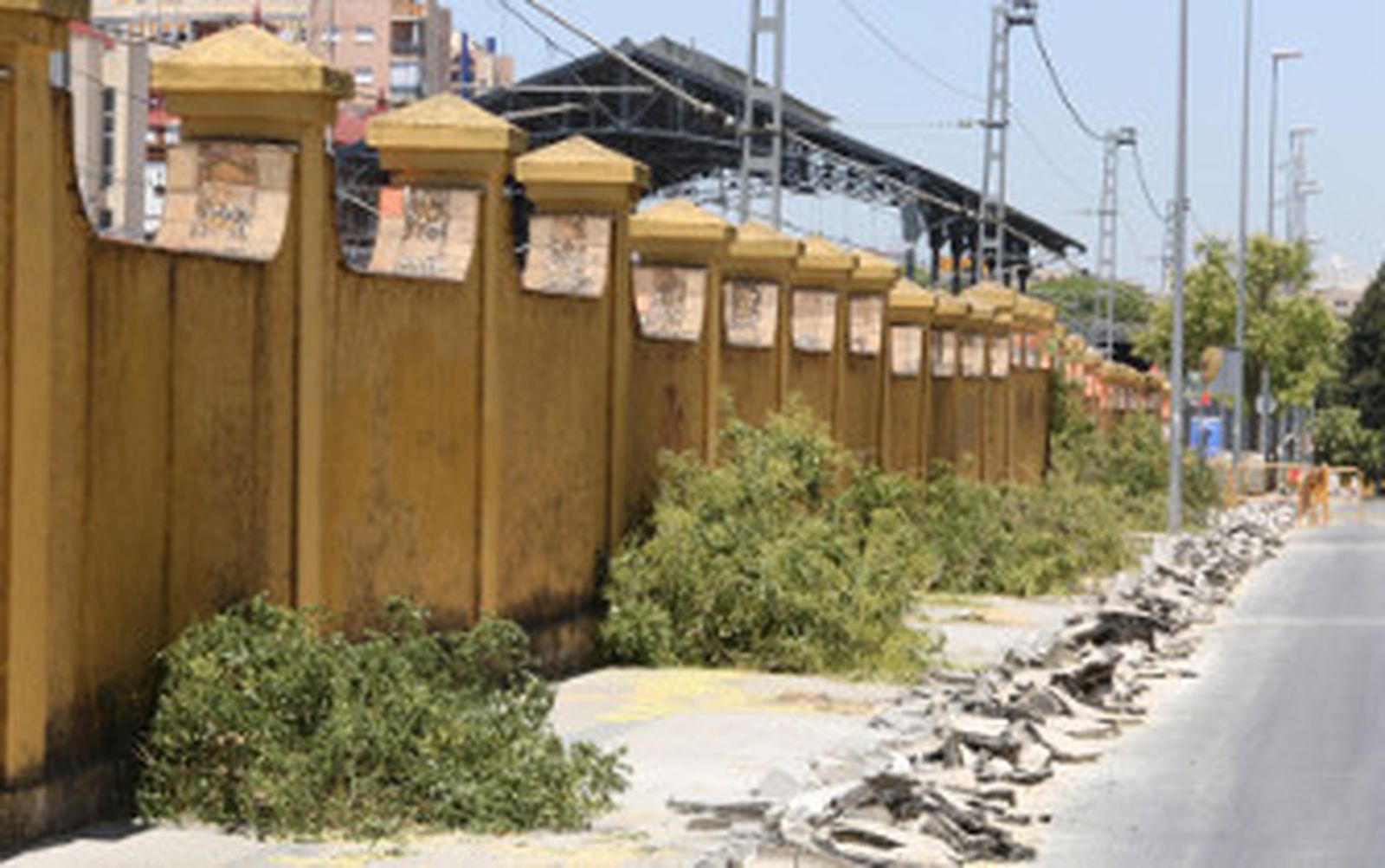 El carril bici ya ha provocado la tala de 210 árboles y hay otros 137 'dañados'