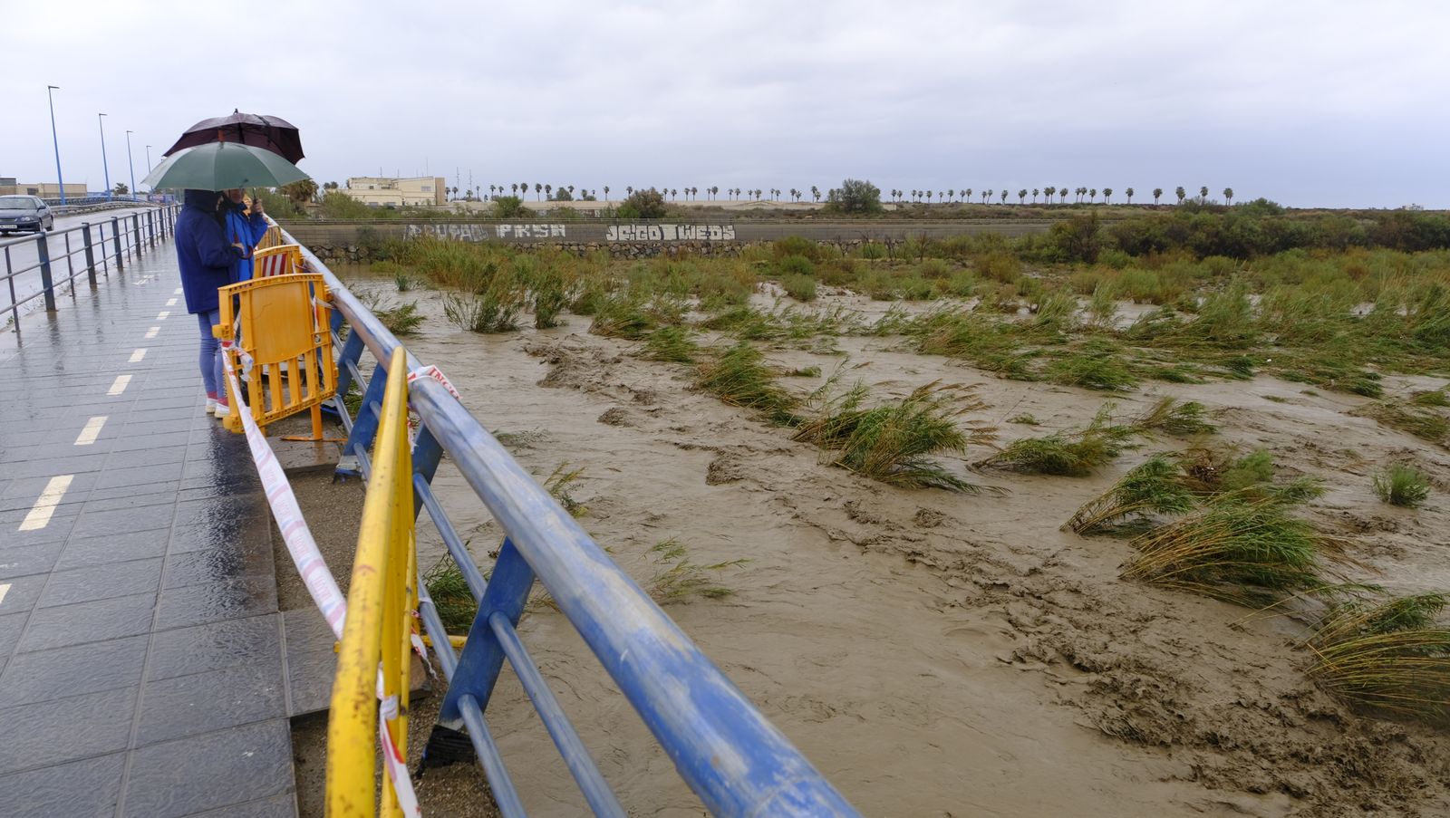 Fotogalería de las lluvias torrenciales en Almería