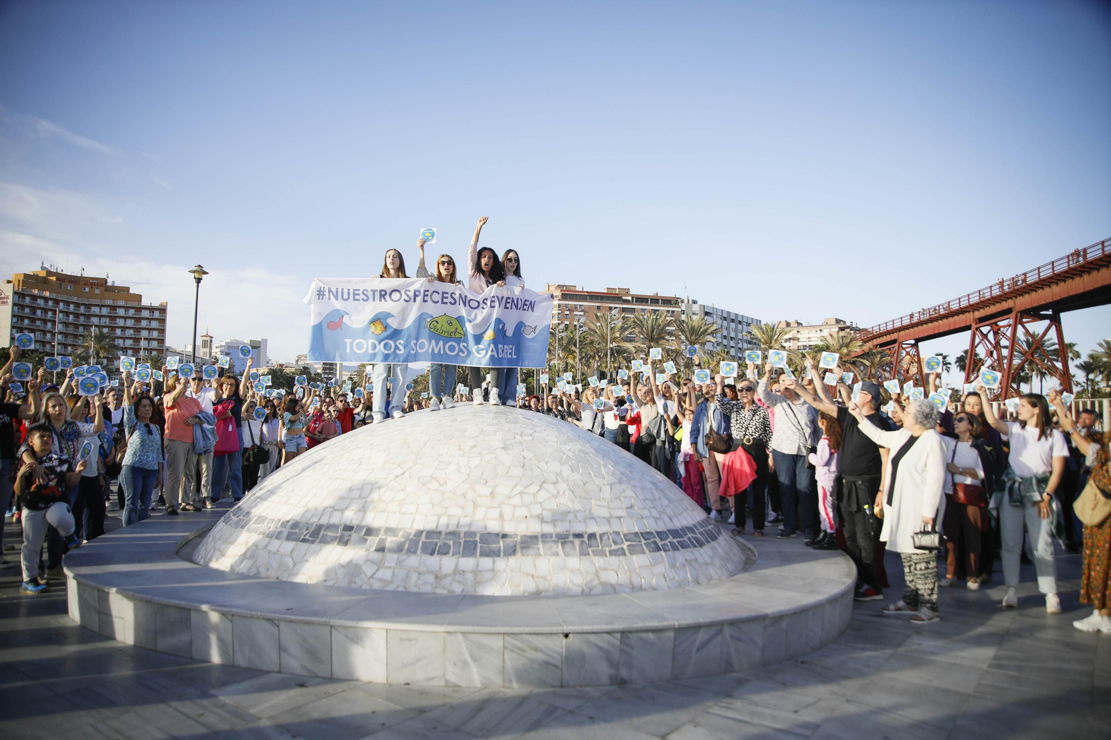 Nuestros peces no se venden, en imágenes