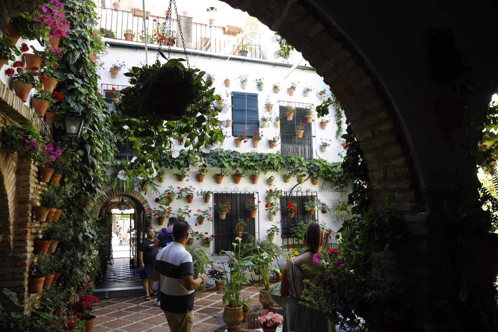 Los Patios de Córdoba se preparan para el fin de semana, en imágenes