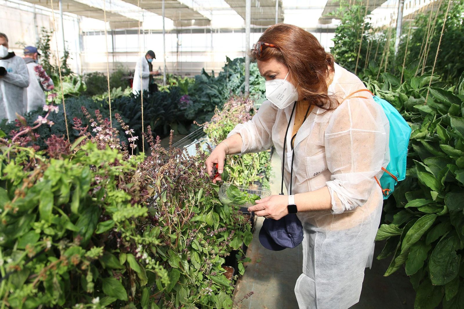 Fotogalería de la presentación de Plataforma Tierra, de Cajamar e IBM