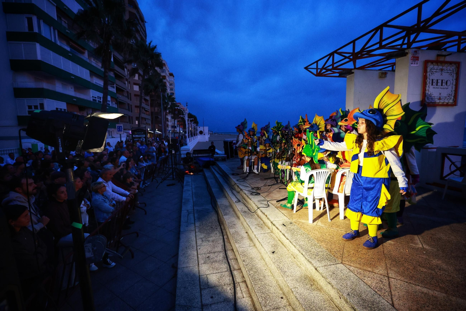 Imágenes del Paseo de Carnaval