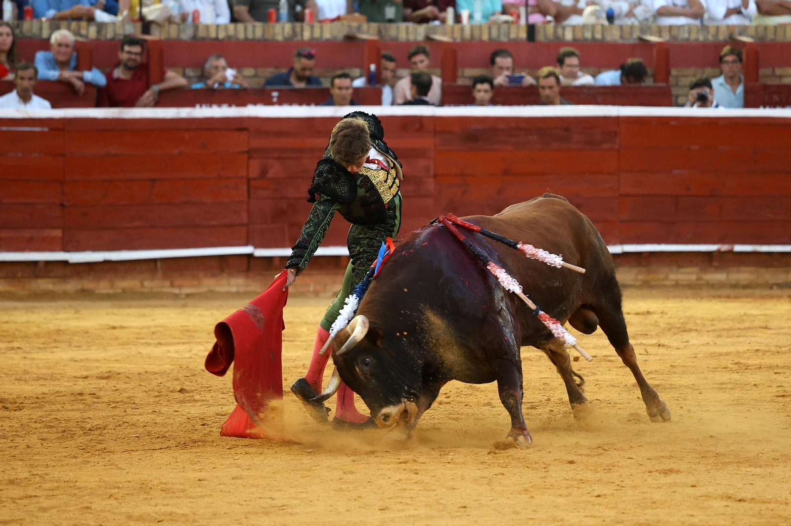 Toros La Merced 2025: Imágenes de la Novillada de Javier Zulueta, Cristian González y Carlos Tirado