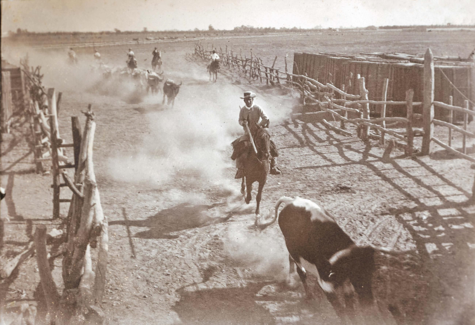 Encierro de reses en El Toruño en 1895.