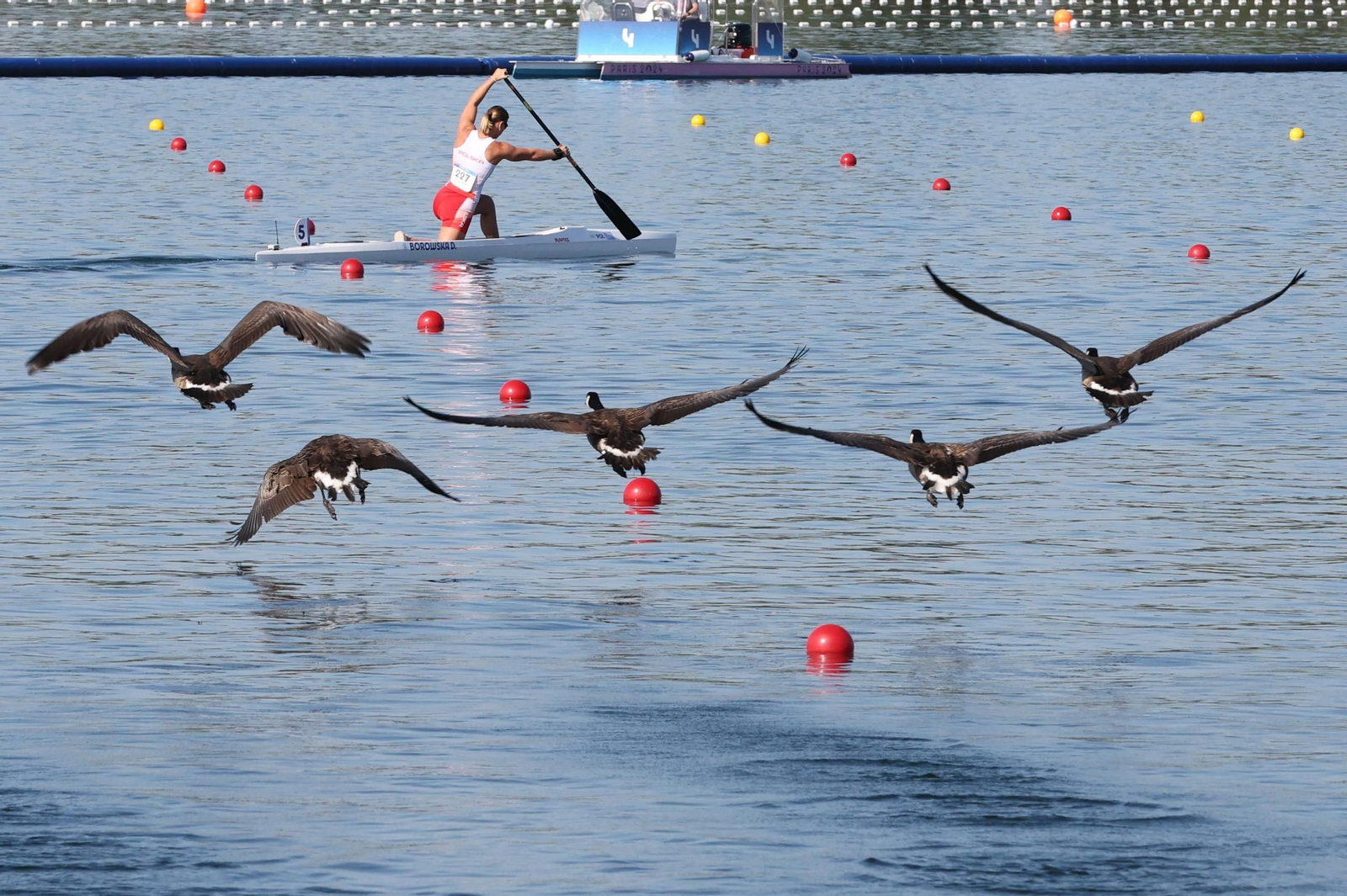 Las fotos de la jornada de medallas del piragüismo