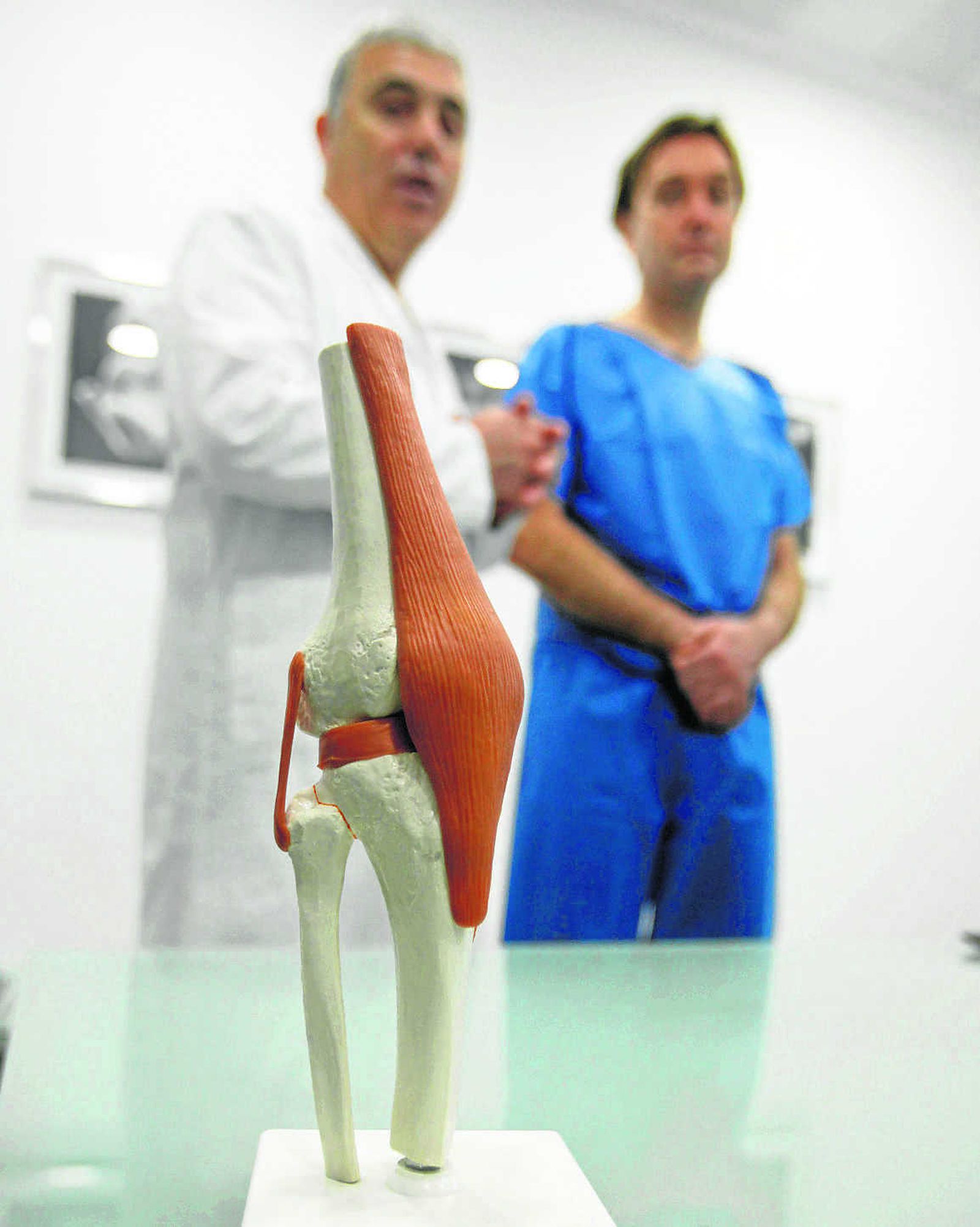 Maqueta de la rodilla de un ser humano.