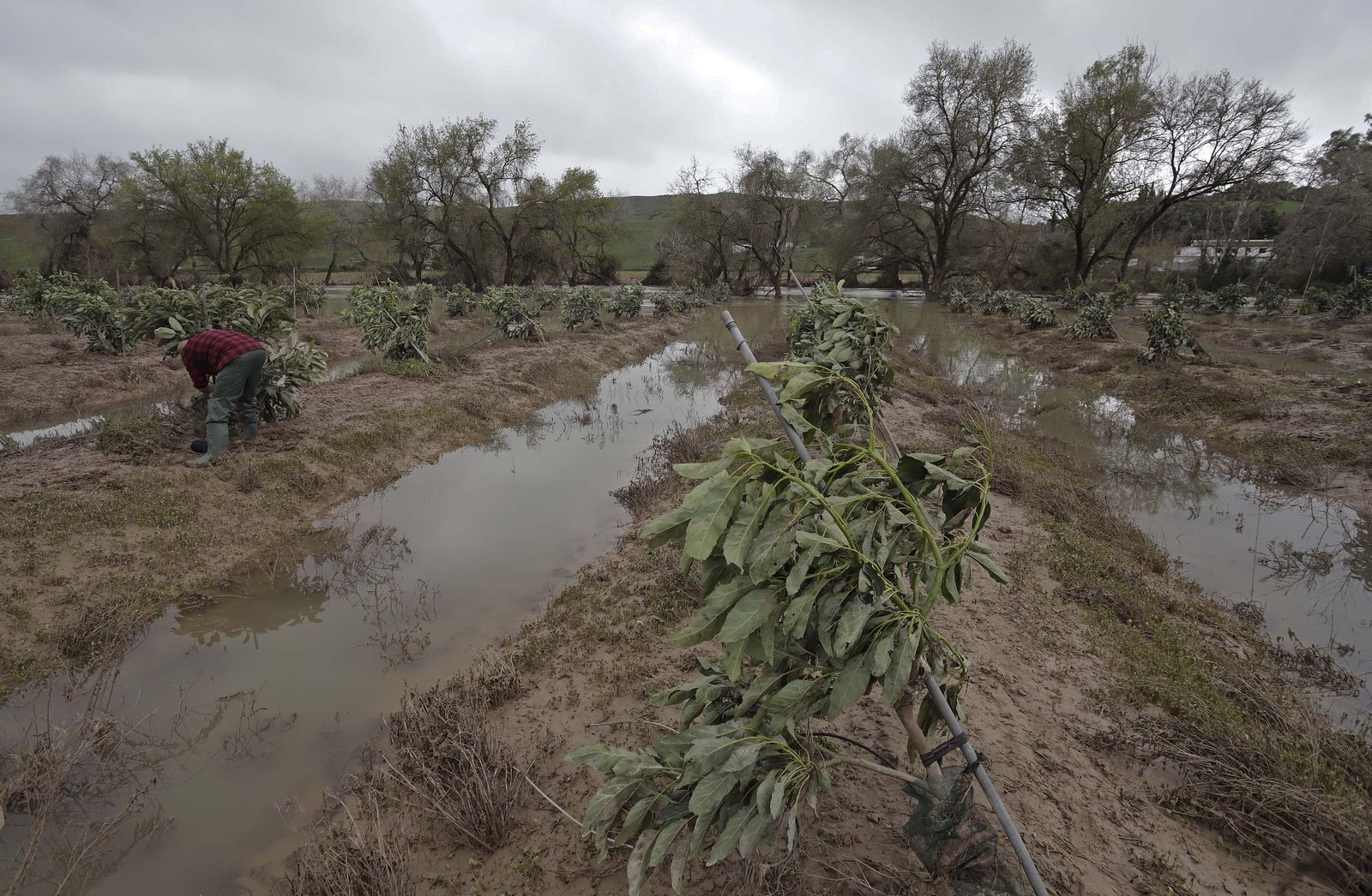 Fotos de los desperfectos provocados por las borrascas en Jimena de la Frontera