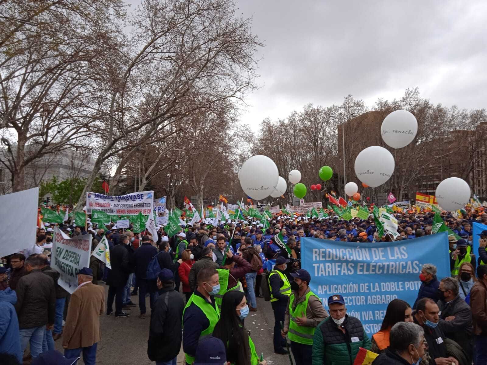 Fotogalería de la manifestación del campo almeriense