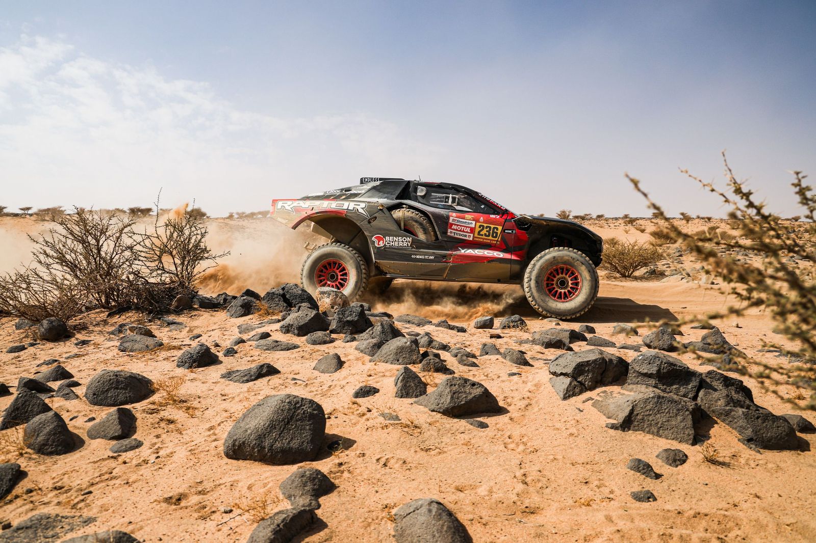 Las mejores fotos del Rally Dakar | undécima etapa