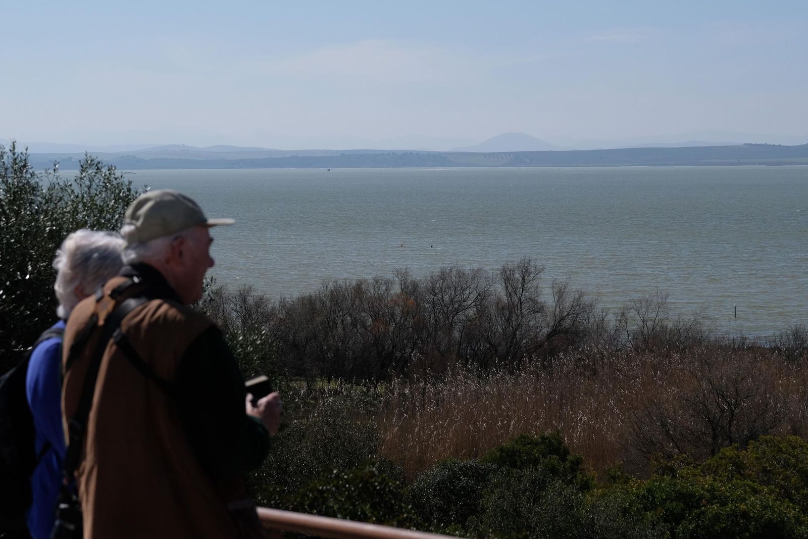 Las lluvias transforman el paisaje en el interior de Málaga, en imágenes
