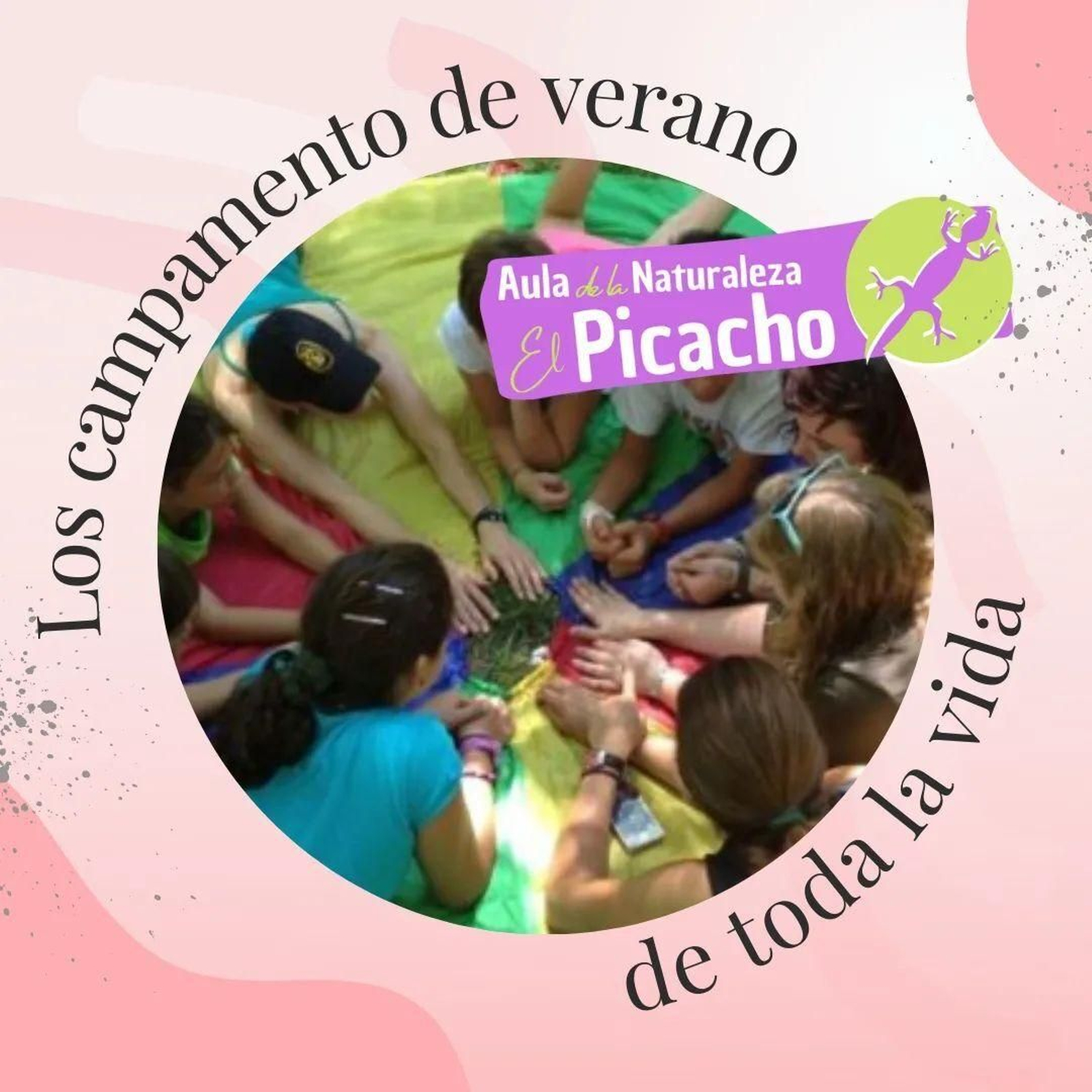 Cartel de los campamentos del aula de la naturaleza El Picacho