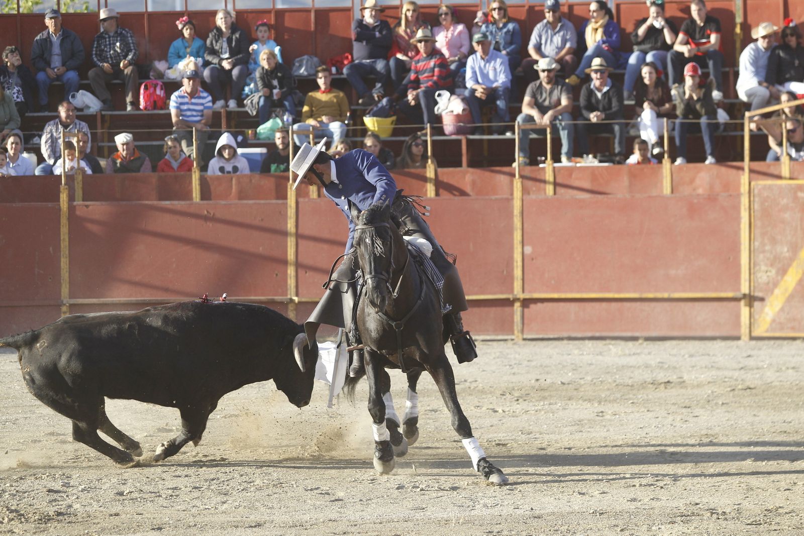 Fotogalería Festival Taurino Mixto. Fiestas de Abrucena.