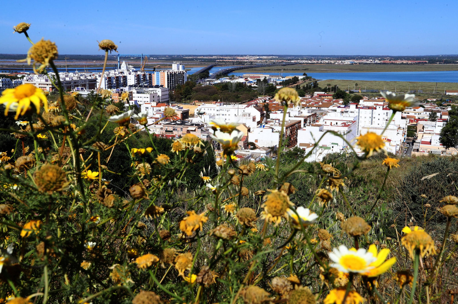 Imágenes del viernes 7 de mayo en Huelva