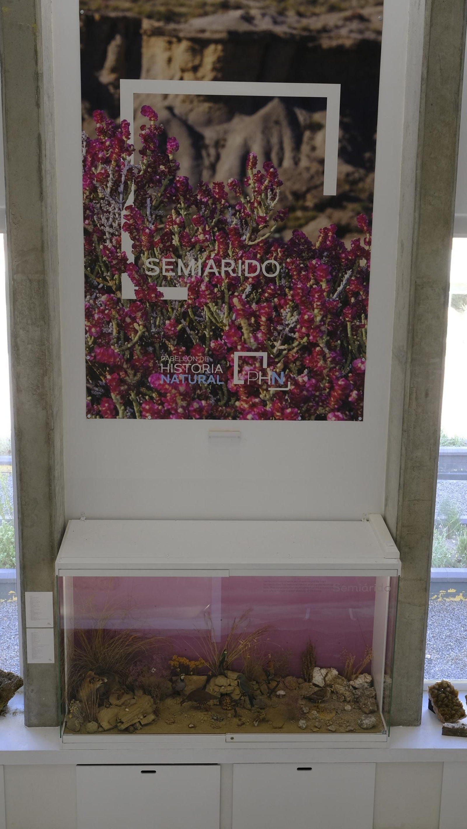 Descubre en estas fotos las maravillas que esconde el Pabellón de Historia Natural de la UAL