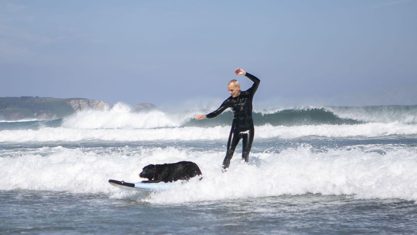 Campeonato de Surf Canino