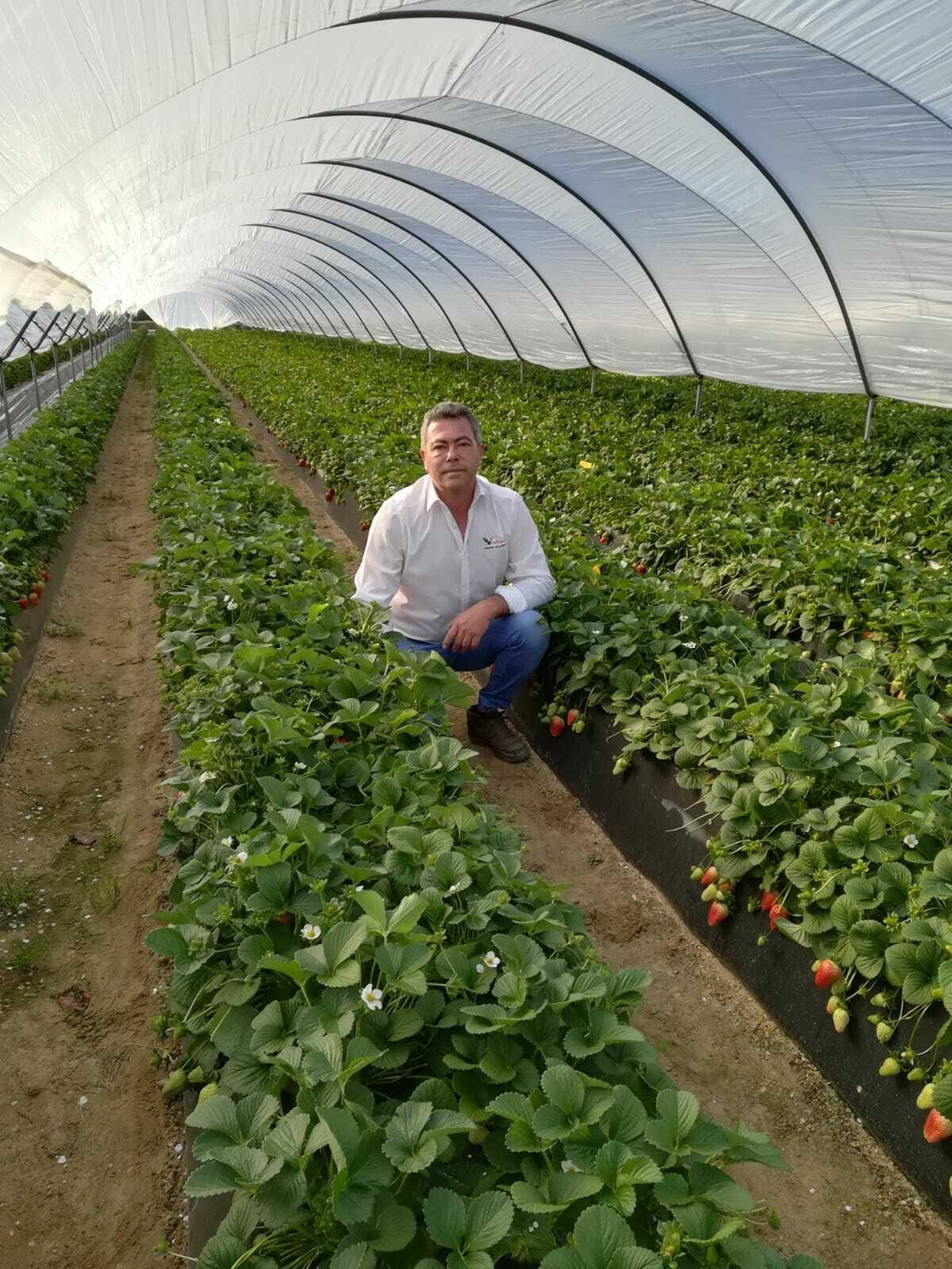 José Guillén, técnico de Vellsam, en el ensayo en Huelva
