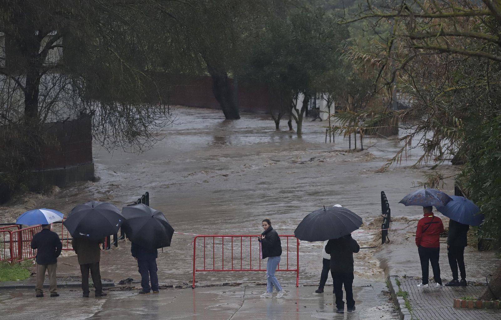 Fotos del temporal de lluvia y viento por la borrasca Kristin en Jimena de la Frontera, San Pablo de Buceite y San Martín del Tesorillo