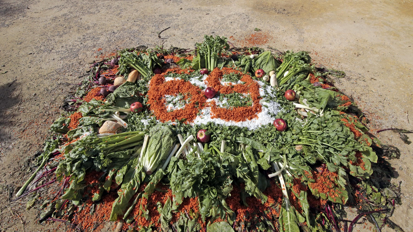 69 aniversario del Zoo de Jerez