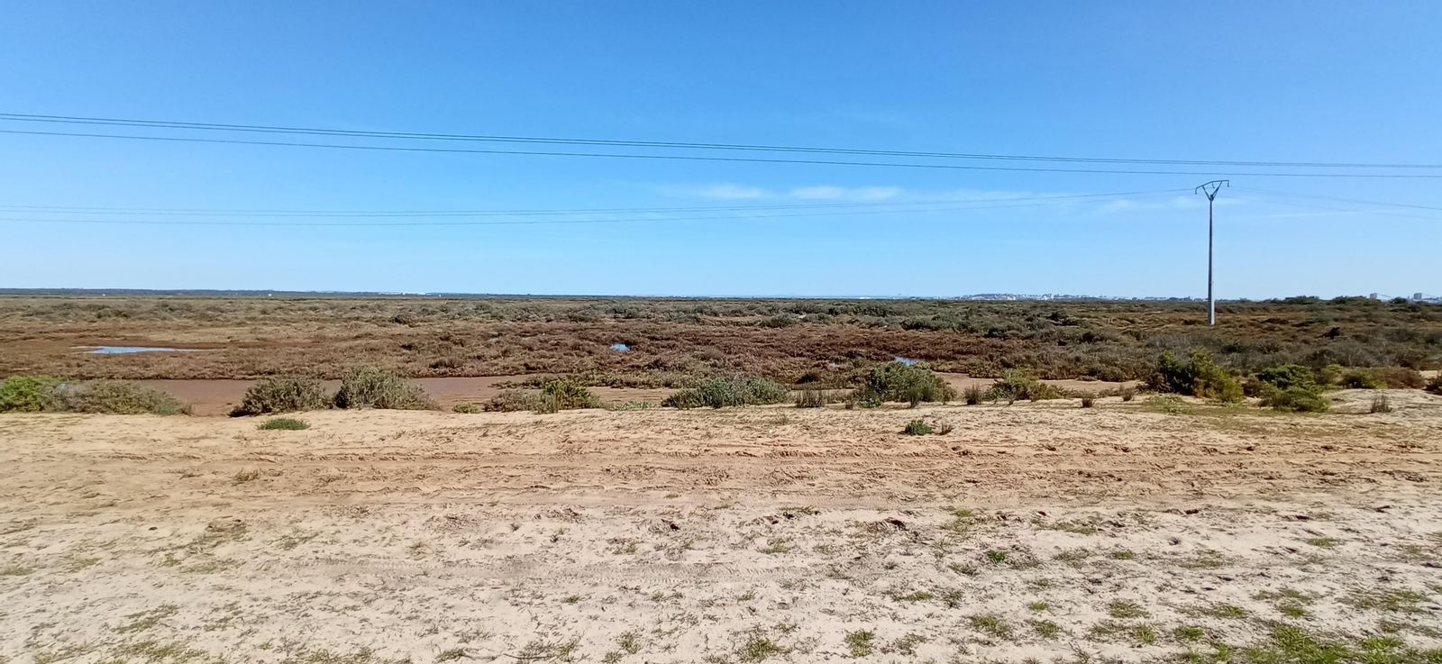 Las imágenes de la ruta de las salinas del Astur y los pinares de Punta Umbría