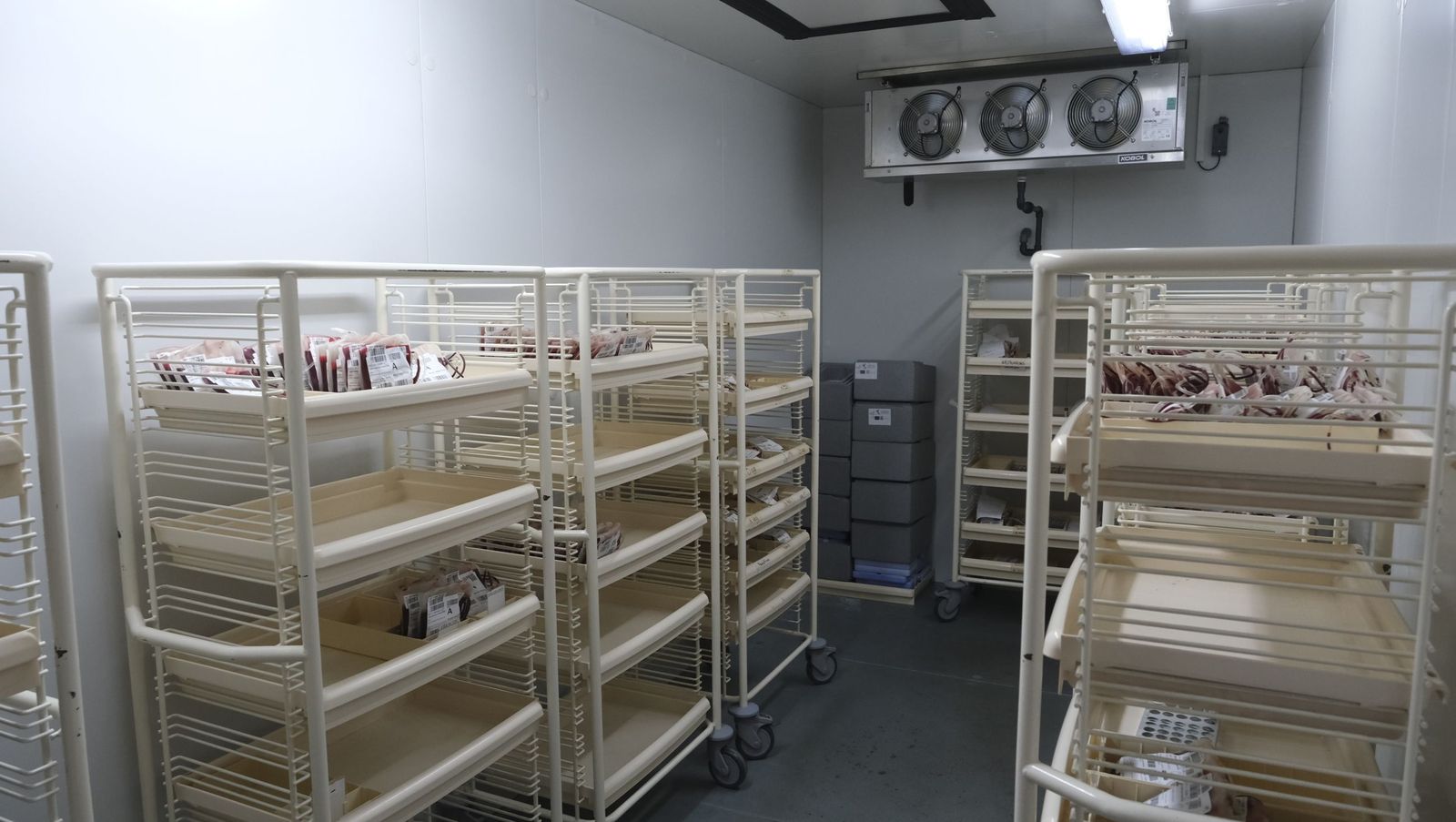 Haz una buena obra y dona sangre, te esperan en el Hospital Torrecárdenas, en imágenes