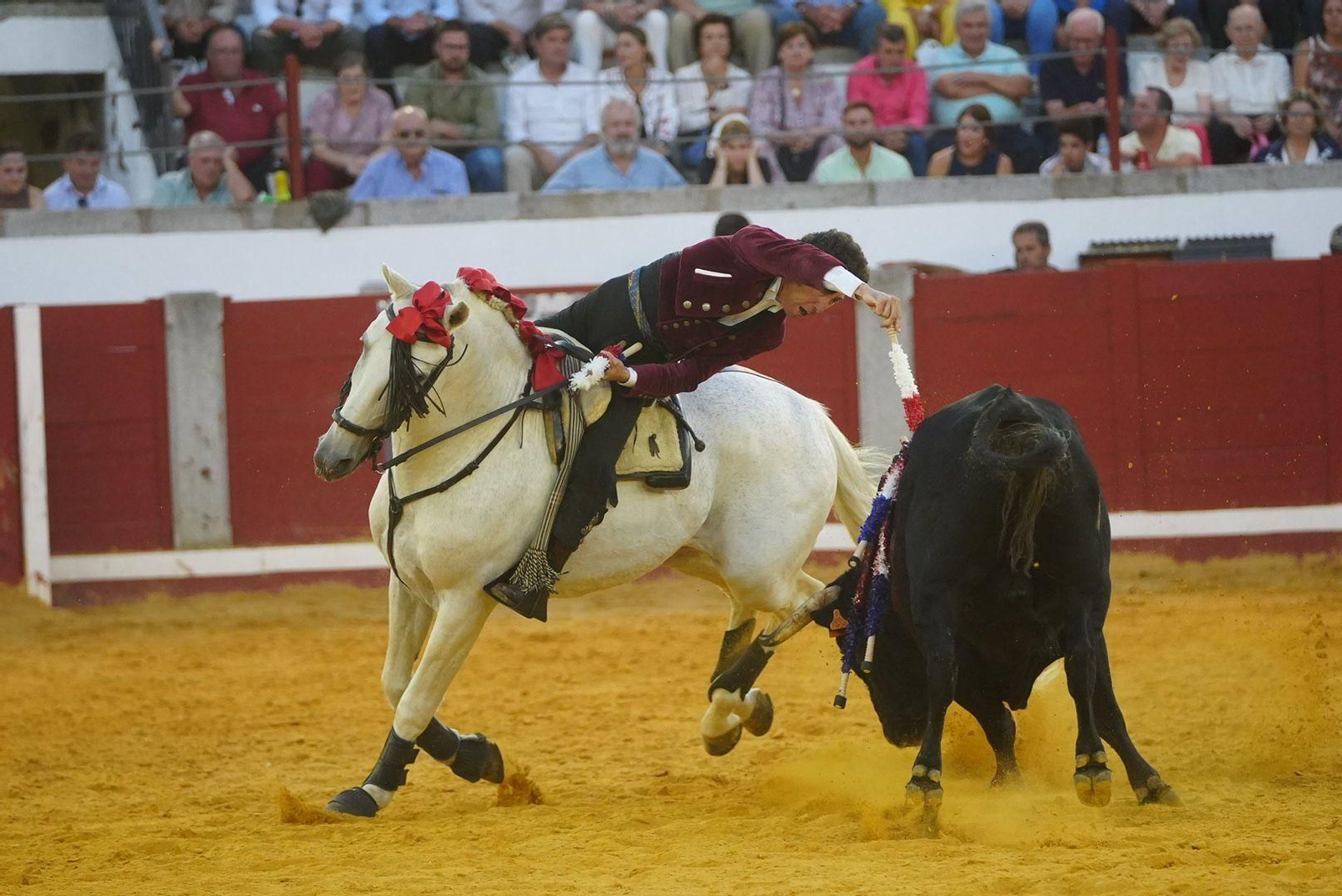 Las mejores fotos de la faena triunfal de Andy Cartagena, Leonardo y Lea Vicens en Pozoblanco Las mejores fotos de la faena triunfal de Andy Cartagena, Leonardo y Lea Vicens en Pozoblanco