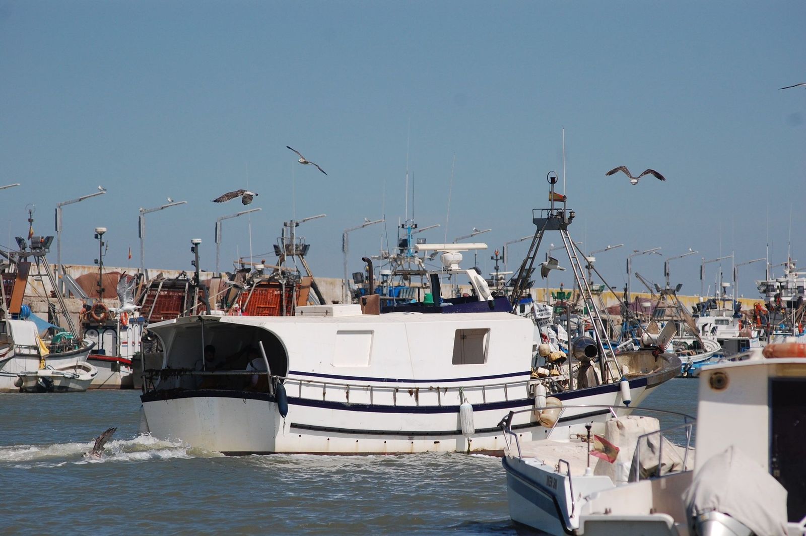 Barcos pesqueros en el puerto sanluqueño de Bonanza, de archivo.
