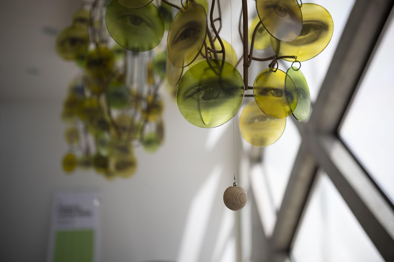 Imágenes de la vendimia en el Condado de Huelva