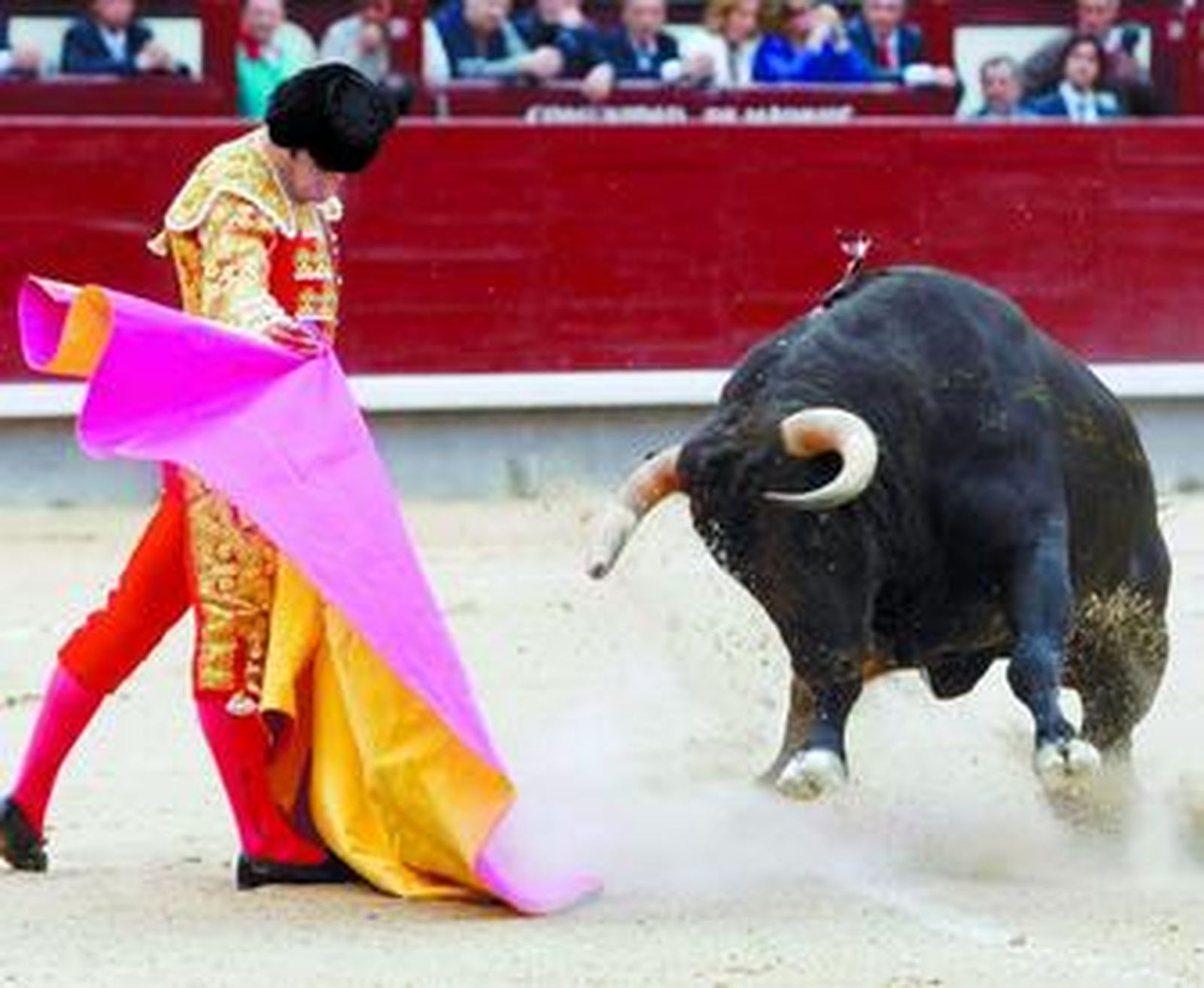 El diestro Morenito de Aranda citando para dar una verónica a su primer toro.