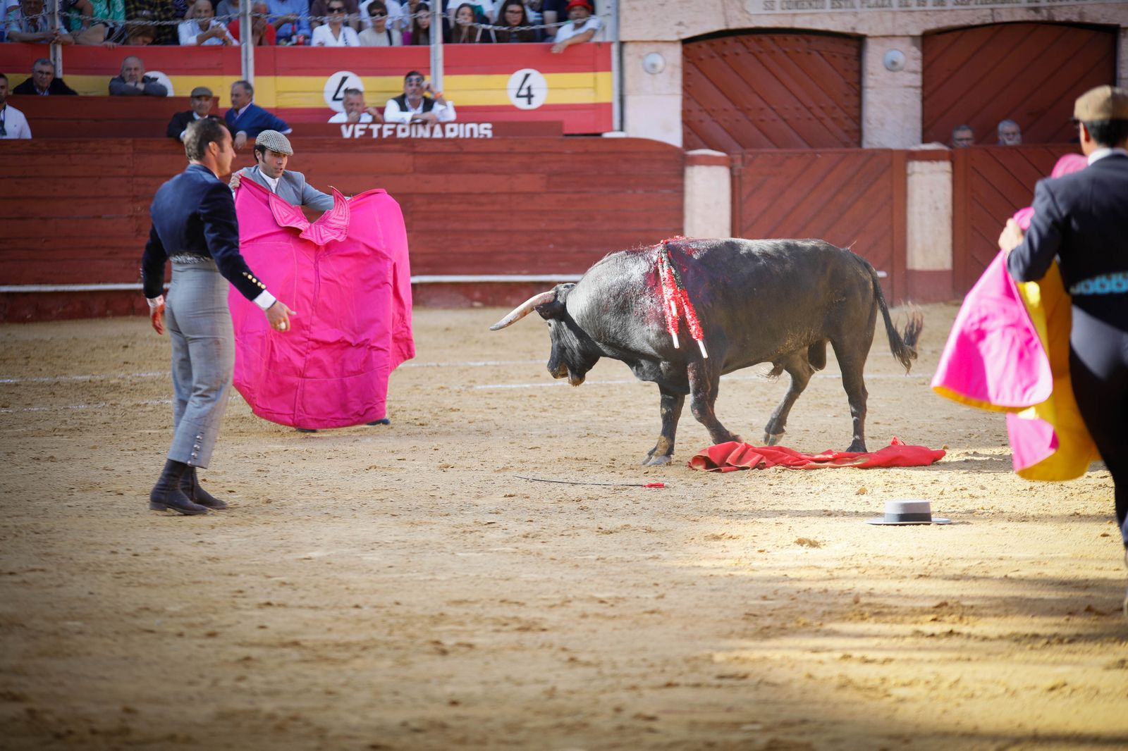 Imágenes del festival mixto lucha contra el cáncer