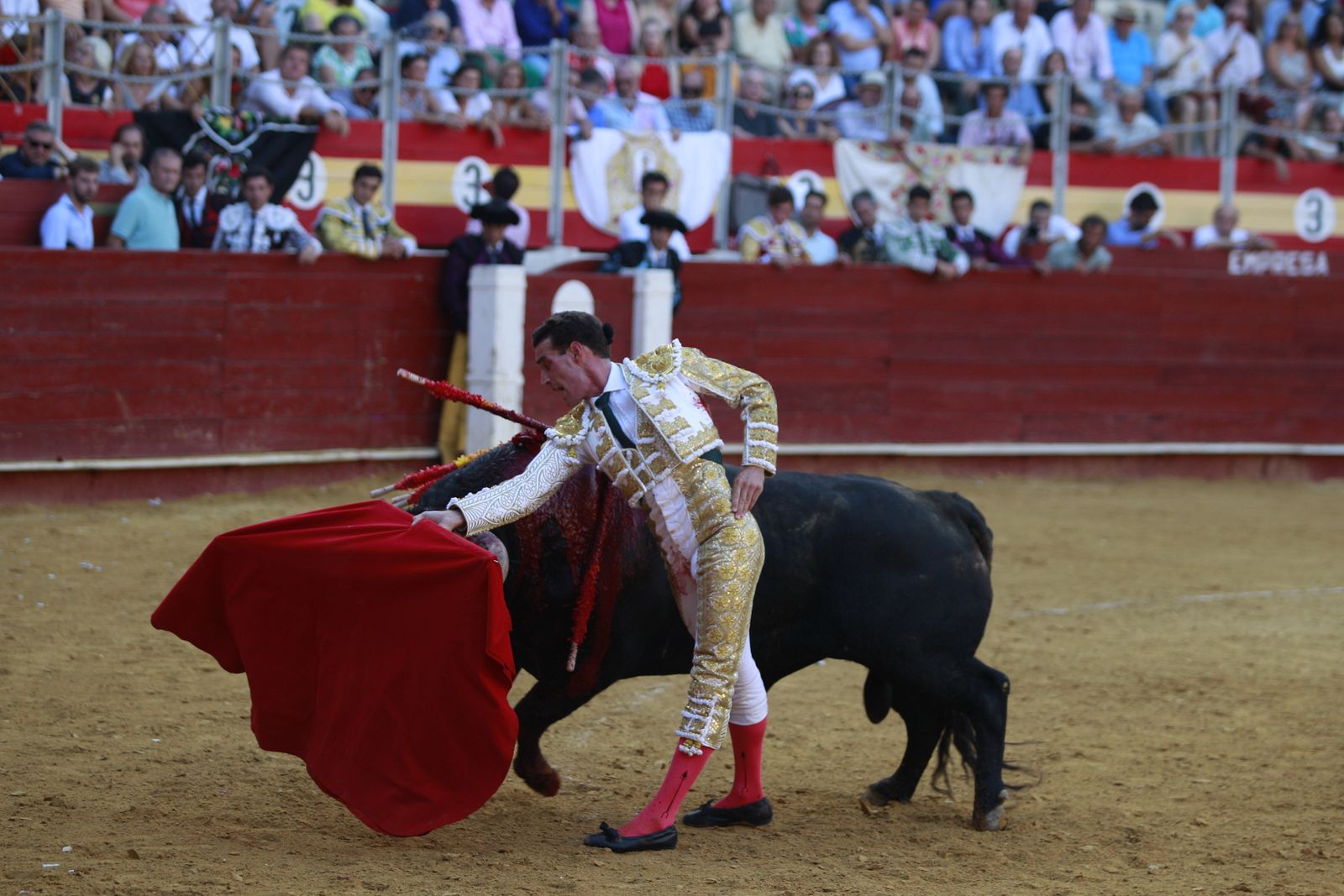 Imágenes de la corrida de toros del jueves en la Feria de Almería 2024