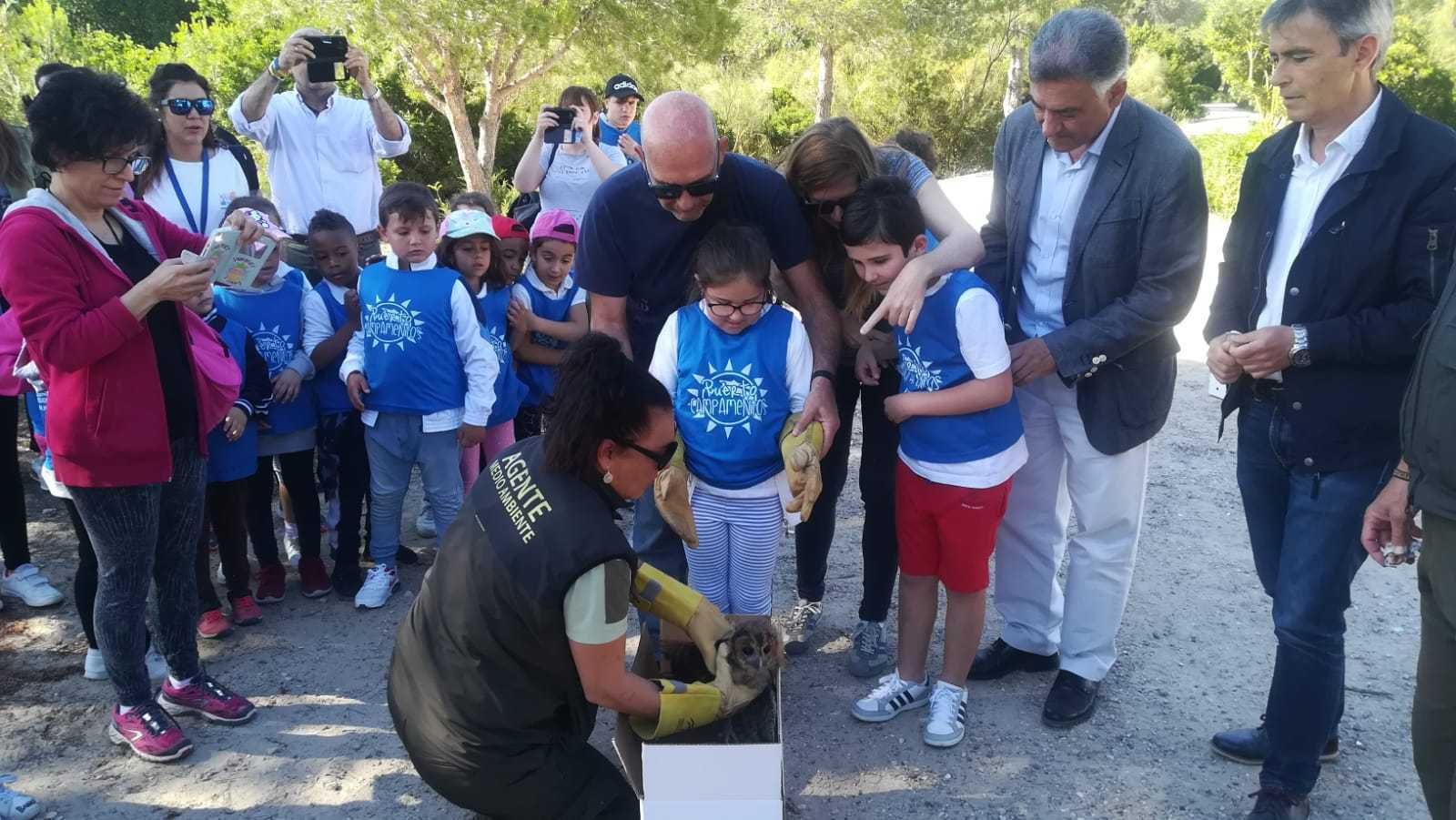 Escolares de Jerez, ayer durante la suelta de las rapaces.