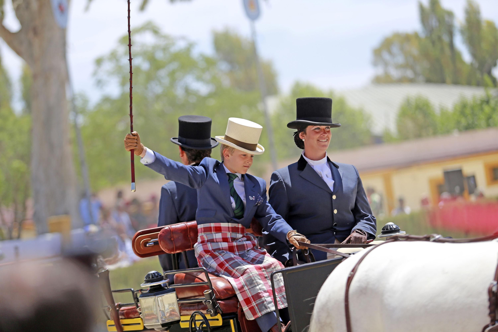 Trofeos de los concursos de Enganches y Morfológicos en la Feria de Jerez