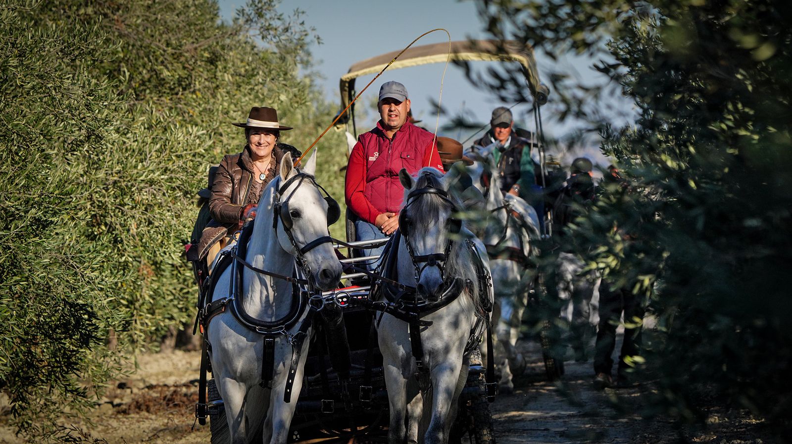 I Ruta de Carruajes Viñas de Jerez
