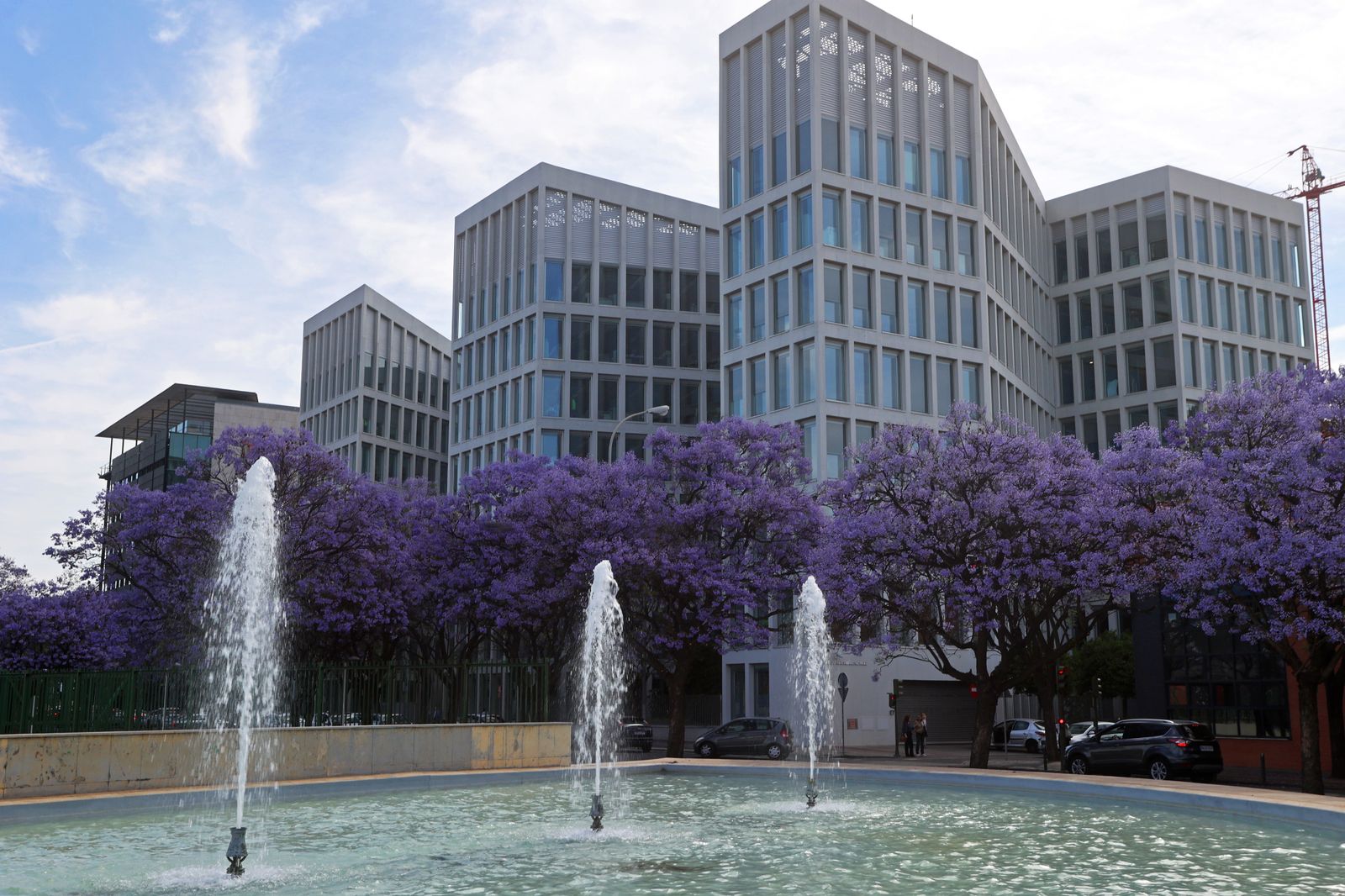Las jacarandas vuelven a teñir de morado Sevilla