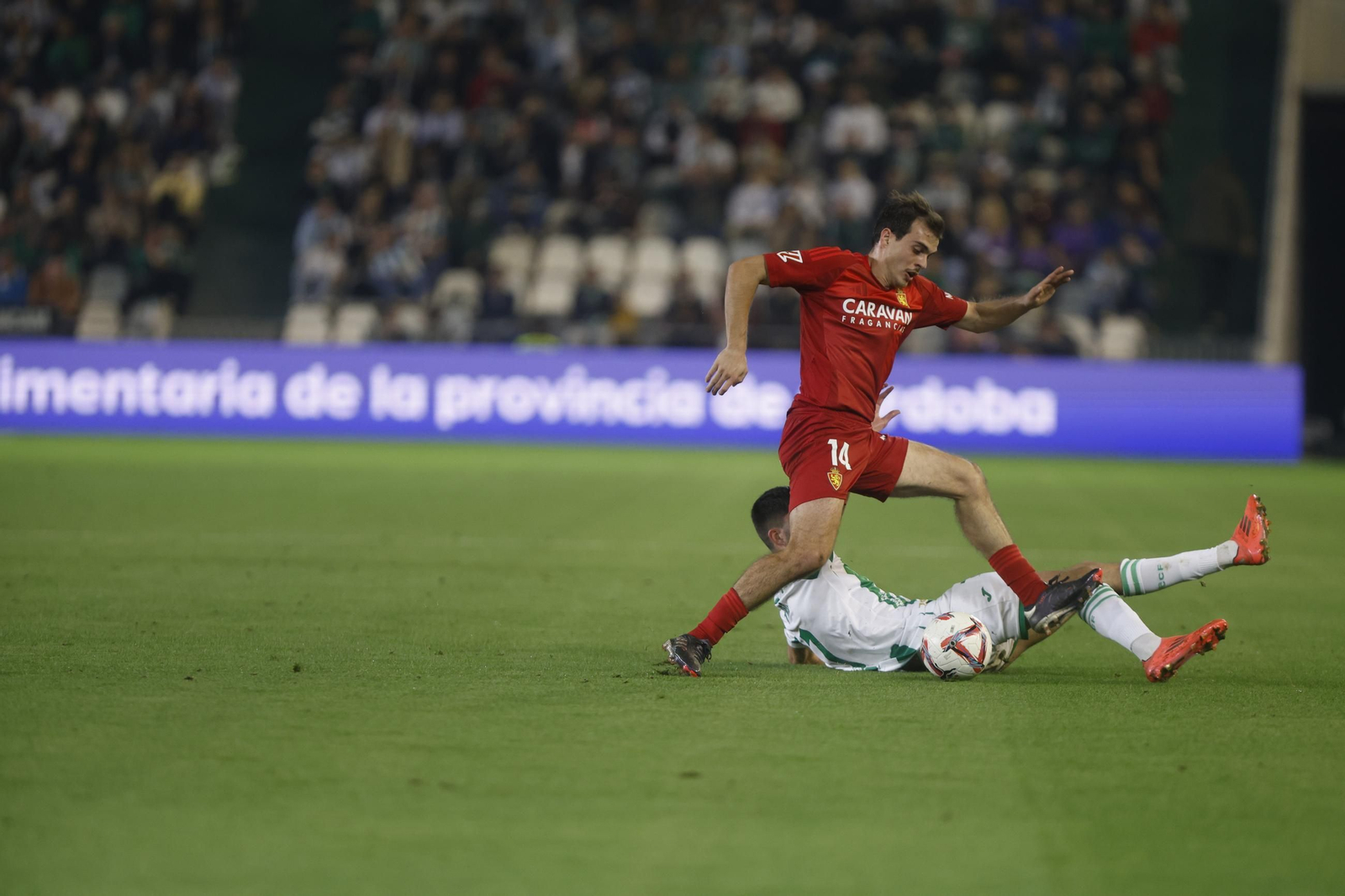 Las mejores fotos del ambiente en el Córdoba CF - Zaragoza en El Arcángel