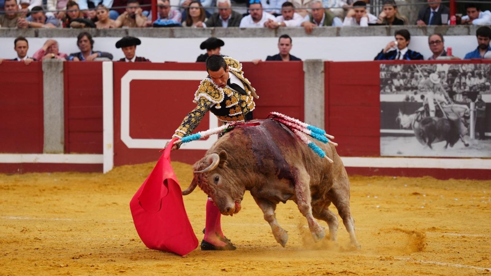 Manzanares, en plena faena del primero de su lote. Manzanares, en plena faena del primero de su lote.