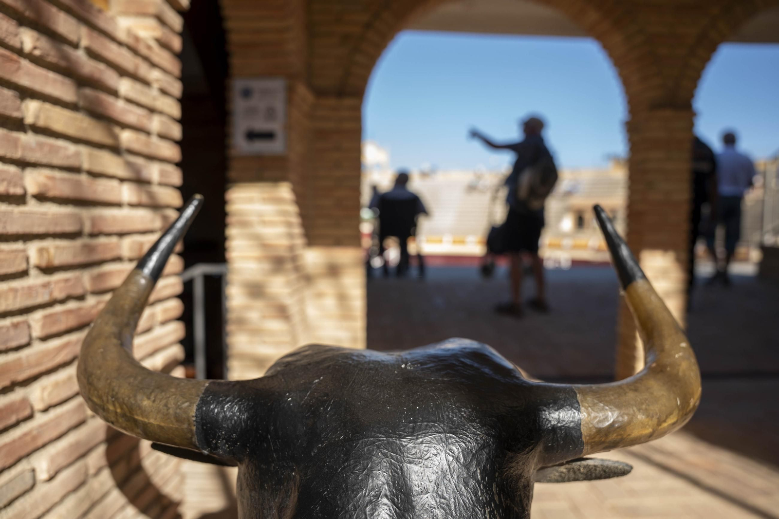 Las imágenes de los toros en Vera