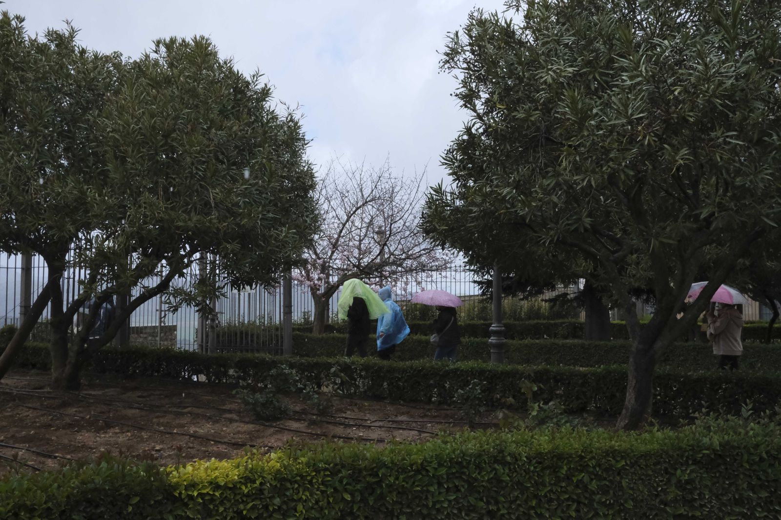 Las fotos del regreso de la lluvia a Ronda