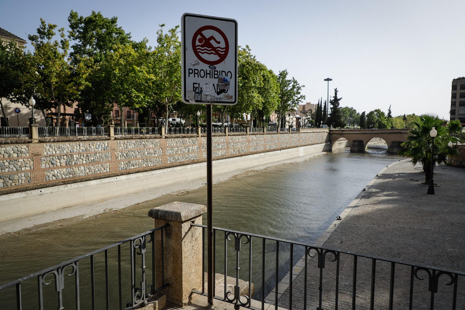 Las mejores imágenes del baño prohibido en Granada: el río Genil como refugio contra el calor