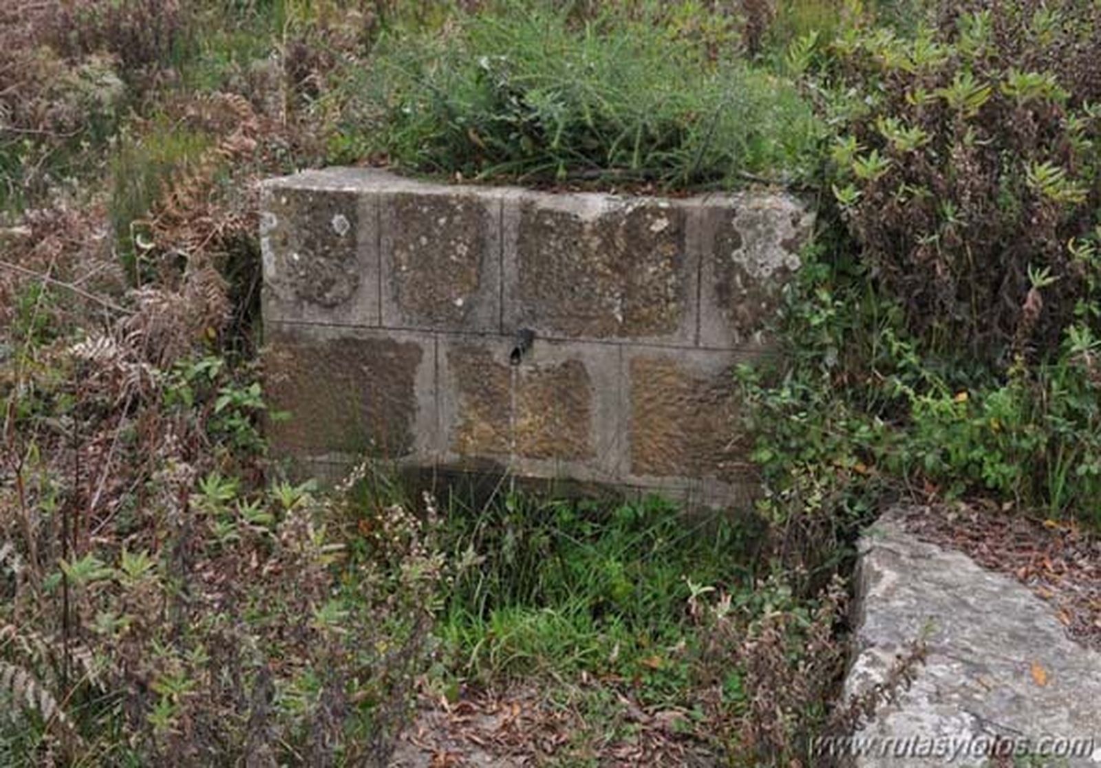 Fuente de la Garganta del Cura