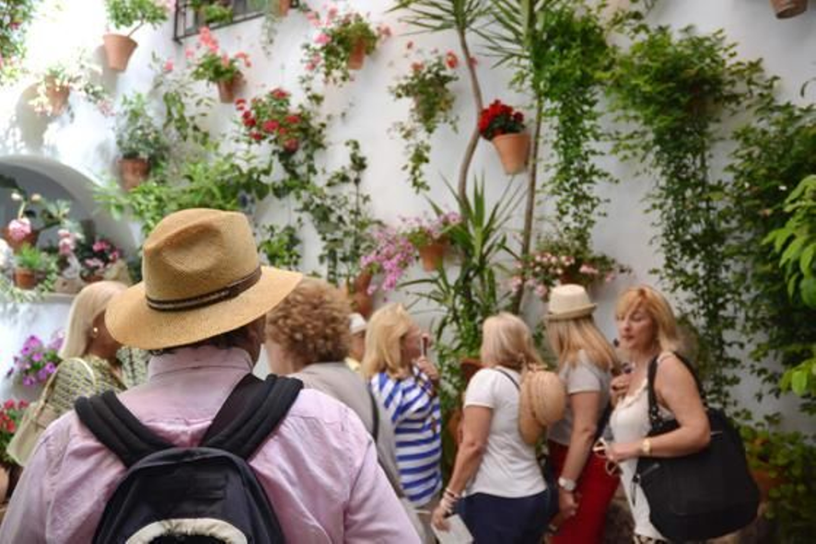 Foto: Alex Gallegos / Macarena Gassin