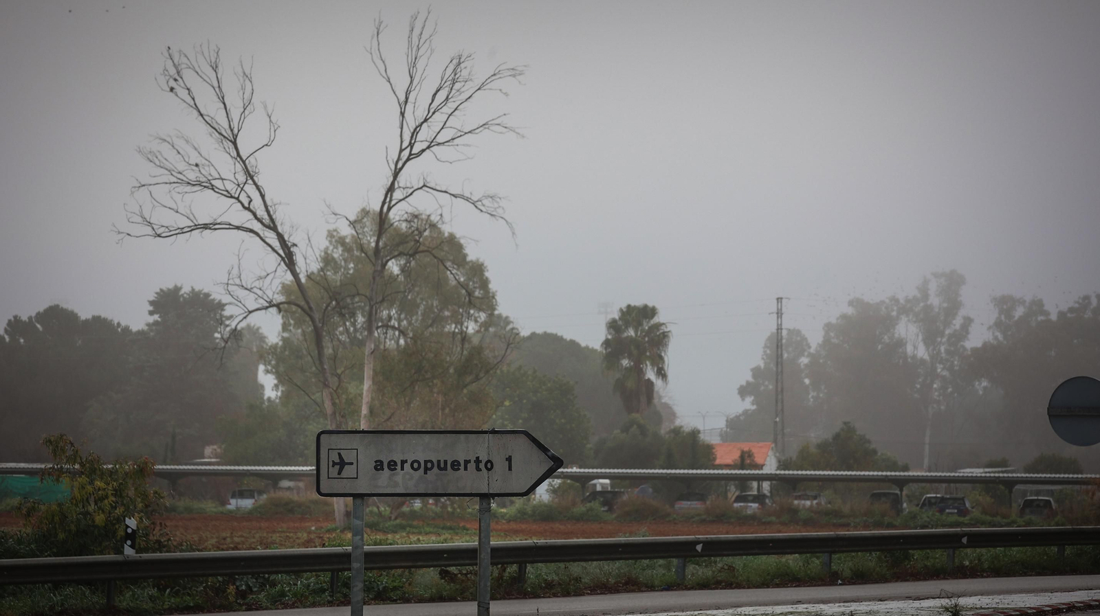 Carretera de acceso al Aeropuerto de Jerez.