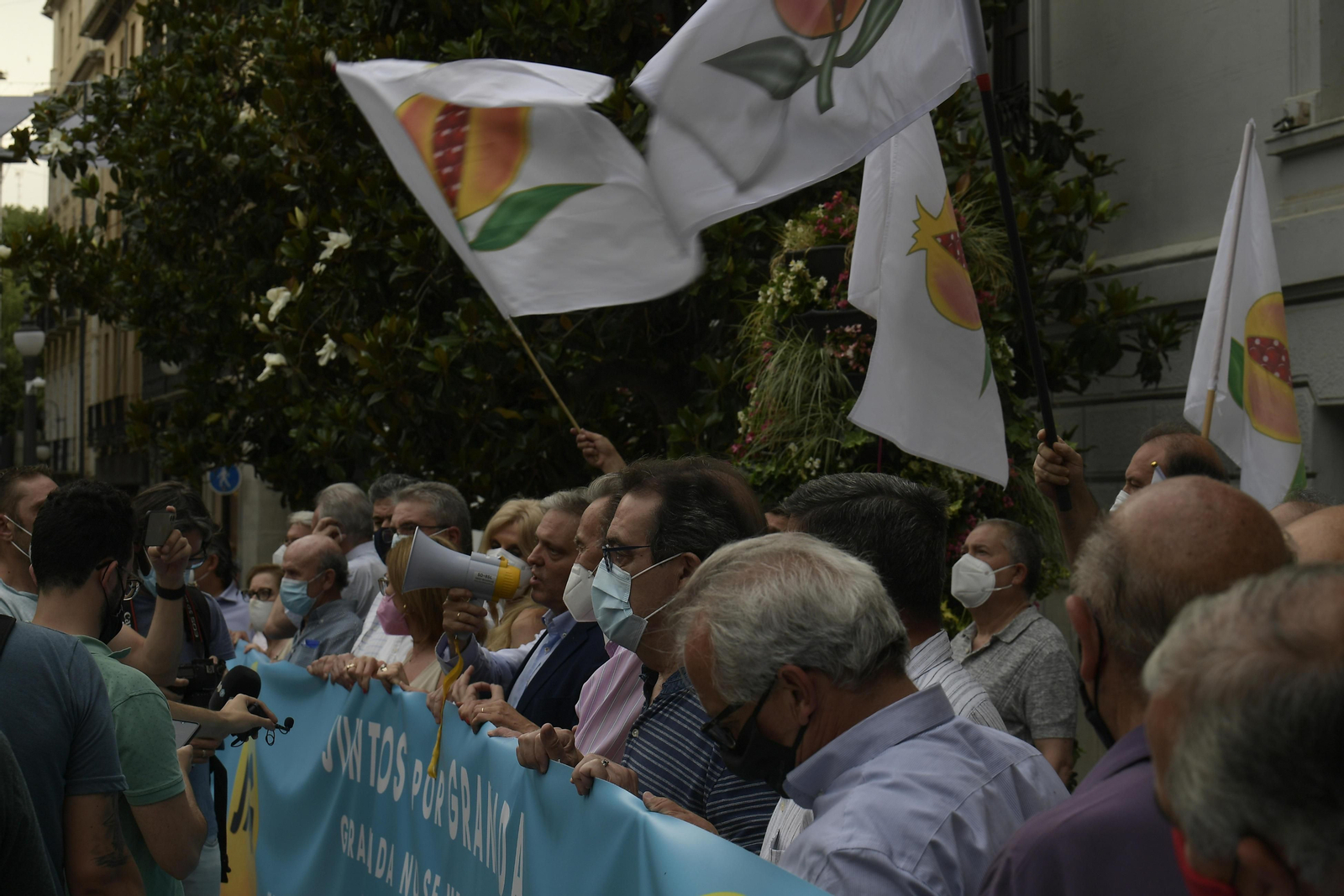 La concentración para pedir un nuevo gobierno municipal en Granada, en imágenes