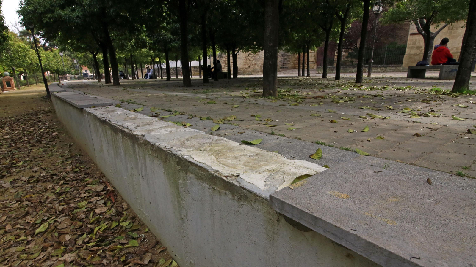 Abandono en la Alameda Vieja