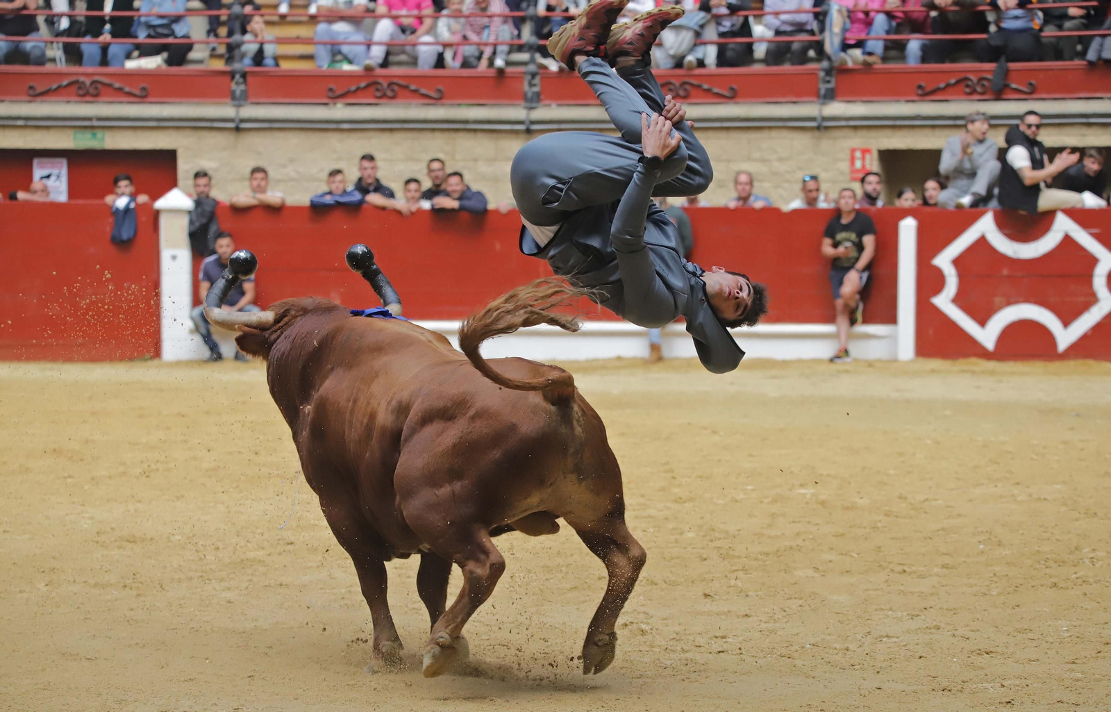 Fotos de los encierros del domingo del Toro Embolao en Los Barrios