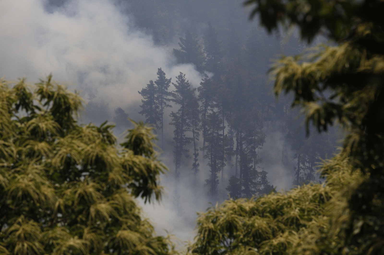 Las fotos del tercer día del incendio en Sierra Bermeja