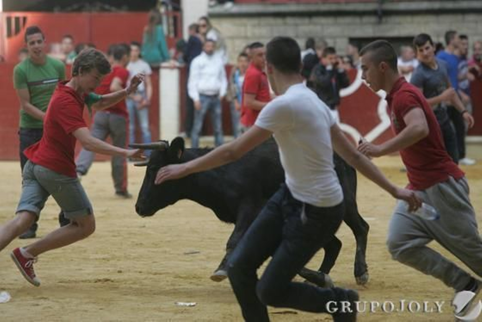 Foto: J.M.Q./Erasmo Fenoy